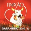 Boi Bumba Garantido - Paixão de Parintins