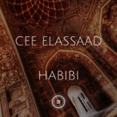 Habibi (Voodoo Mix) artwork