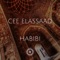 Habibi (Voodoo Mix) artwork