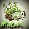 Mr. Verde - A.N.W.T.