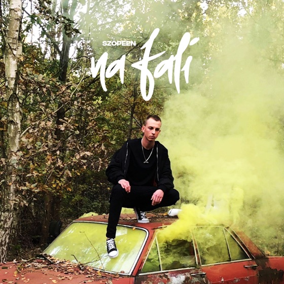 Cover artwork for Na Fali