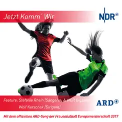 Jetzt komm' wir (feat. Stefanie Rhein & NDR Bigband) - Single by Wolf Kerschek album reviews, ratings, credits