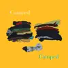 Camped - Single album lyrics, reviews, download