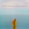 Cecilia and the Satellite - Andrew McMahon In the Wilderness lyrics