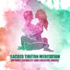 Sacred Tibetan Meditation: Improve Sexuality and Creative Energy, 30 Background for Tantra Yoga Relaxation, Sexy Foreplay album lyrics, reviews, download