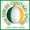 Irish Tenors Christmas Special album lyrics, reviews, download