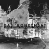Das Kondensat (feat. Gebhard Ullmann, Oliver Potratz & Eric Schaefer) album lyrics, reviews, download