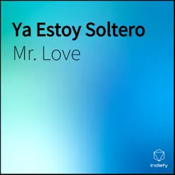 Ya Estoy Soltero (feat. Romix) - Single - Mr. Love