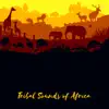 Tribal Sounds of Africa: Ultimate 30 Powerful African Rhythms, Shamanic Meditation & Mindfulness album lyrics, reviews, download