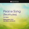 Stream & download Tim Brent: Peace Song (Beatitudes) - Single