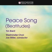Peace Song (Beatitudes) artwork