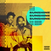 Sunshine (feat. Miguel) artwork