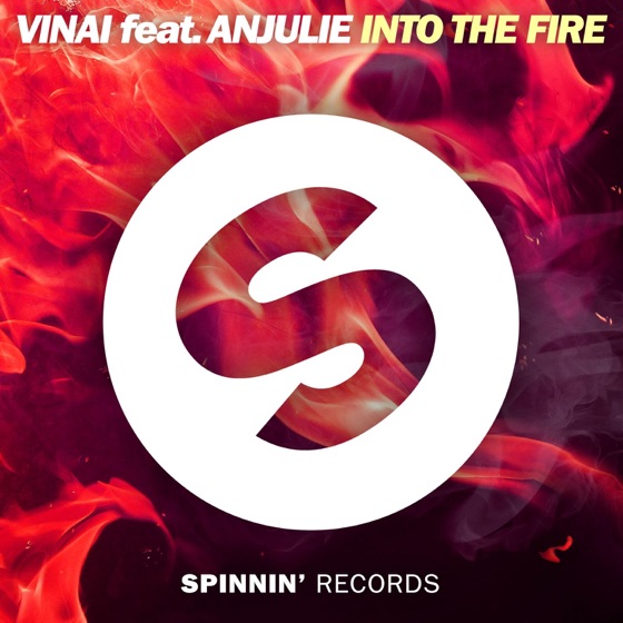 Cover artwork for Into the Fire (feat. Anjulie)