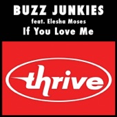 Buzz Junkies;Elesha Moses - If You Love Me (Thomas Gold Radio Edit)