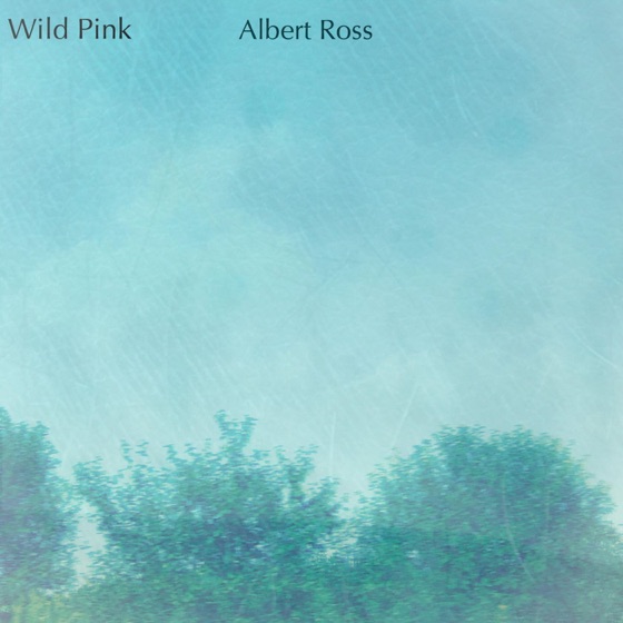 Cover artwork for Albert Ross (Acoustic Version)