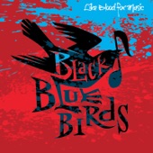 Black Bluebirds - Soul of Wood