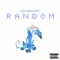 Random - 100 Percent lyrics