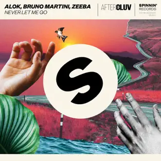 Never Let Me Go by Alok, Zeeba & Bruno Martini song reviws