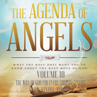 Dr. Kevin L. Zadai - The Agenda of Angels, Vol. 10: The Will of God for Every Christian's Life artwork