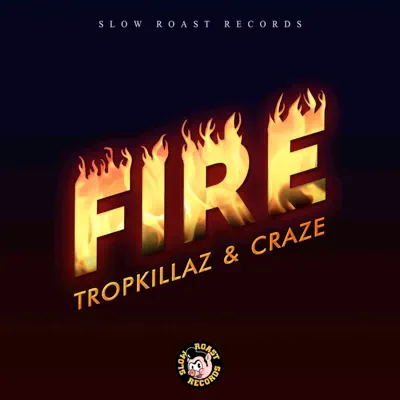 Fire - Single - Tropkillaz