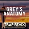 Grey's Anatomy (Trap Remix) - Trap Remix Guys lyrics