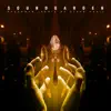 Spoonman (Remix By Steve Aoki) - Single album lyrics, reviews, download