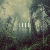 Life artwork