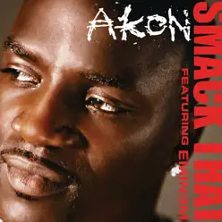 Smack That (NBA Version) - Single - Akon