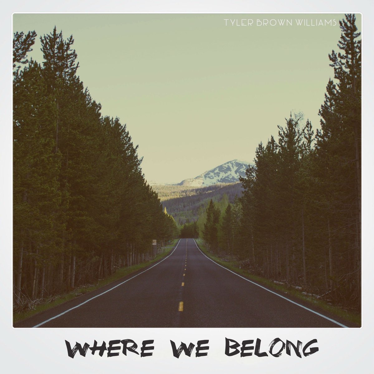 Where you belong. Tyler Brown Williams. Where we all belong. We belong to this Land почему to. Somewhere i belong (Tyler Clark Remix).