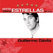 Serie Cinco Estrellas: Guillermo Davila, 2008