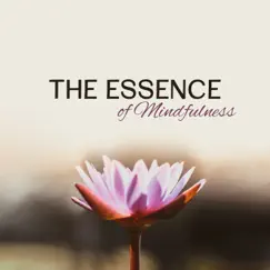 The Essence of Mindfulness: Effective Music for Meditation, Relaxation & Focus, Feel Better & Relaxed with Nature Sounds in Zen World by Mindfulness Meditation Universe album reviews, ratings, credits