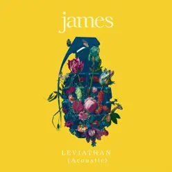 Leviathan (Acoustic) - Single - James Leviathan (Acoustic) - Single - James