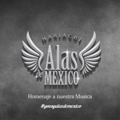 Homenaje a Nuestra Música artwork