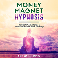 Mindfulness Training - Money Magnet Hypnosis: Manifest Wealth, Money, & Attract Abundance While You Sleep (Original Recording) artwork