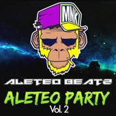 Aleteo Party (Vol.2) [Guaracha, Aleteo, Afrohouse, Zapateo] artwork