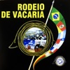 Rodeio de Vacaria, Vol. 1, 2018