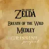 Medley Zelda Breath of the Wild: Main Theme / On Horse / Rito Village / Hyrule Castle / Beast Ganon - Single album lyrics, reviews, download