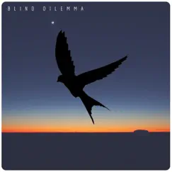 Blue Euphoria by Blind Dilemma album reviews, ratings, credits