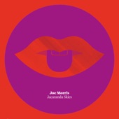 Joe Morris - Jacaranda Skies