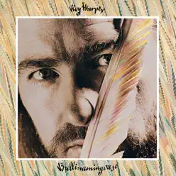 Bullinamingvase (Remastered) - Roy Harper