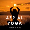Aerial Yoga: Peace of Mind, Fitness Songs for Spirituality, Sounds of Nature, Piano Music