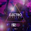 Electro Valley (25 Crazy Festival Tunes), Vol. 1
