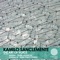 The Art of Voice - Kamilo Sanclemente lyrics