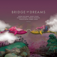 Various Artists - Bridge of Dreams artwork