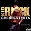 All Summer Long by Kid Rock iTunes Track 2