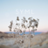 Girl (Acoustic) - SYML