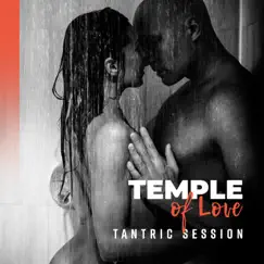 Temple of Love: Tantric Session of Pleasure, Erotic Background, Sexual Meditation by Tantric Sex Background Music Experts, Tantric Music Masters & Erotic Music Zone album reviews, ratings, credits