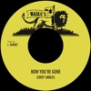 Now You're Gone - Single