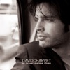 David Charvet