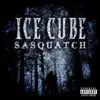 Sasquatch - Single album lyrics, reviews, download